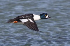 IMG_5980