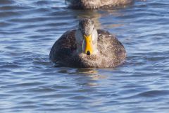 IMG_5926