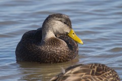 IMG_8692