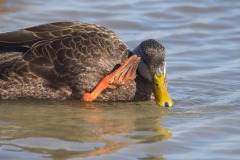 IMG_8807