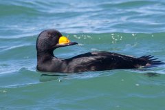 IMG_7178