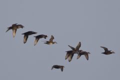 IMG_8049