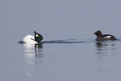 IMG_0194