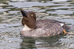 IMG_1913