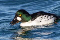 IMG_1957
