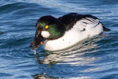 IMG_1961