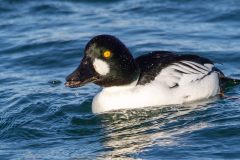 IMG_1962