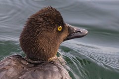 IMG_1980-Edit