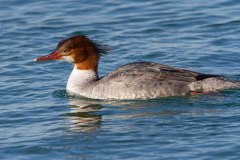 IMG_0053