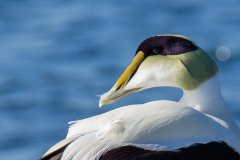 IMG_1160