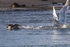 IMG_2698
