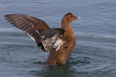 IMG_5226