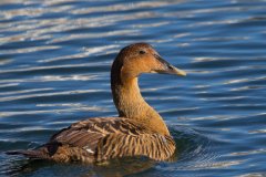 IMG_9152