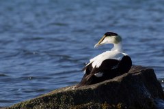 IMG_9317