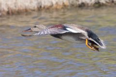 IMG_9630