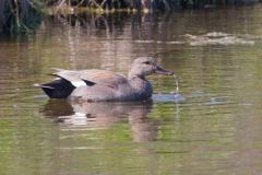 IMG_9793