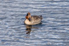 IMG_5363