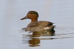 IMG_7612