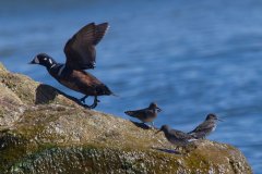 IMG_3698