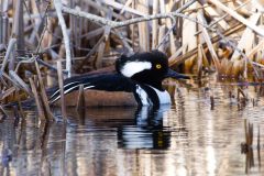 IMG_1967