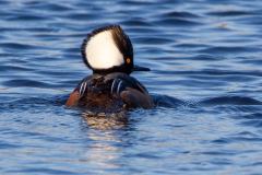 IMG_3725