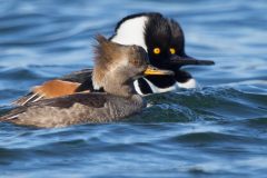 IMG_5818
