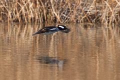 IMG_8109