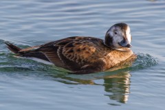 IMG_0301