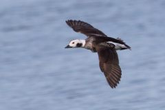 IMG_3472