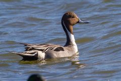 IMG_4718
