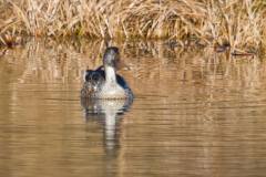 IMG_8990