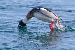 IMG_5796