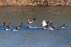IMG_1618