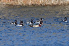 IMG_1717