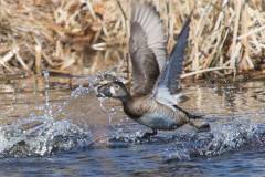 IMG_2712-2