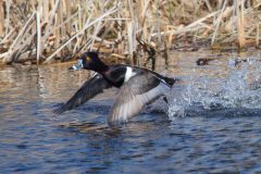 IMG_2712-Edit-2