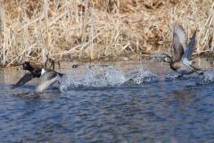 IMG_2712-Edit