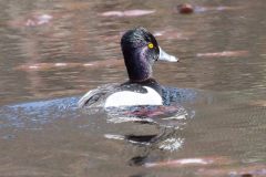 IMG_3662