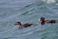 IMG_1492