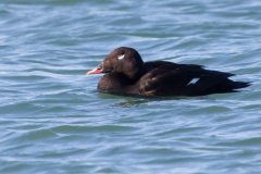 IMG_5300