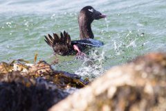 IMG_5631