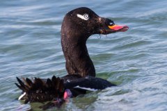 IMG_5635