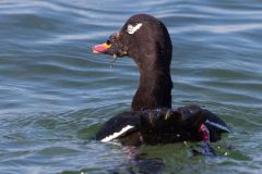 IMG_5639
