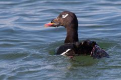 IMG_5642