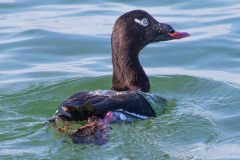 IMG_5670