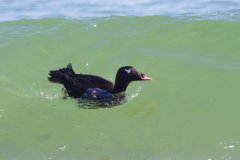 IMG_6670