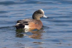 IMG_2487