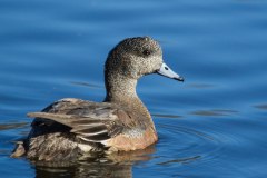 IMG_7422