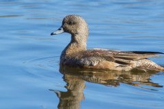 IMG_7434