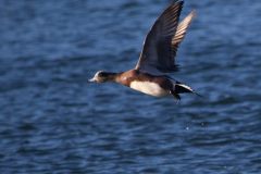 IMG_7459